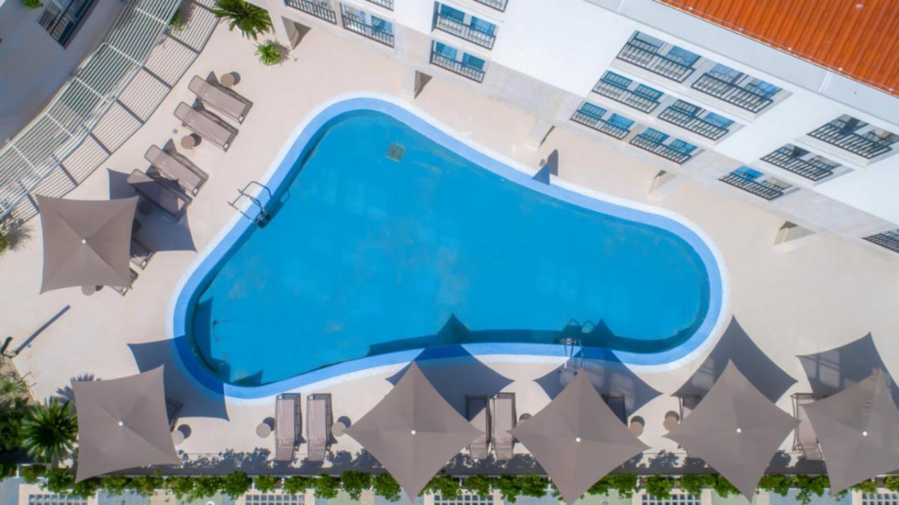 Garden Palace - Sembid With Terrace Apartment Umag